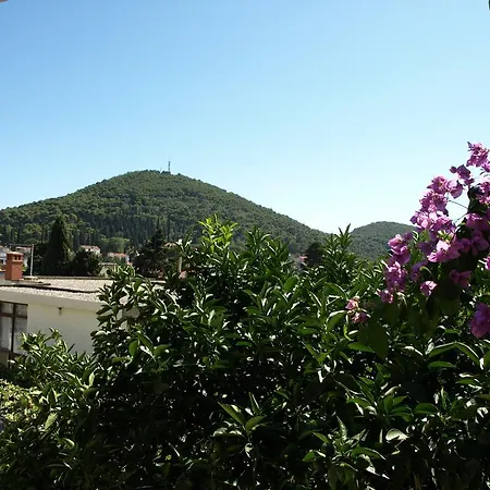 Carpe Diem Guest house Dubrovnik